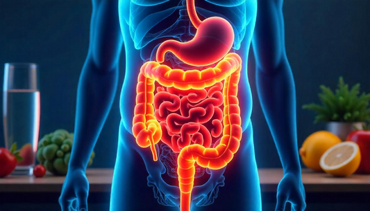 Diverticulitis: Qué es, cómo afrontarla según sus fases.